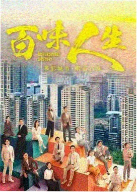 雾港日记 剧集海报